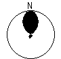 Directional Pattern